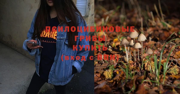 mix Мегион